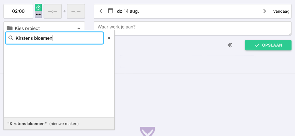 Nanda Urenoverzicht - nieuw project aanmaken in invoer scherm